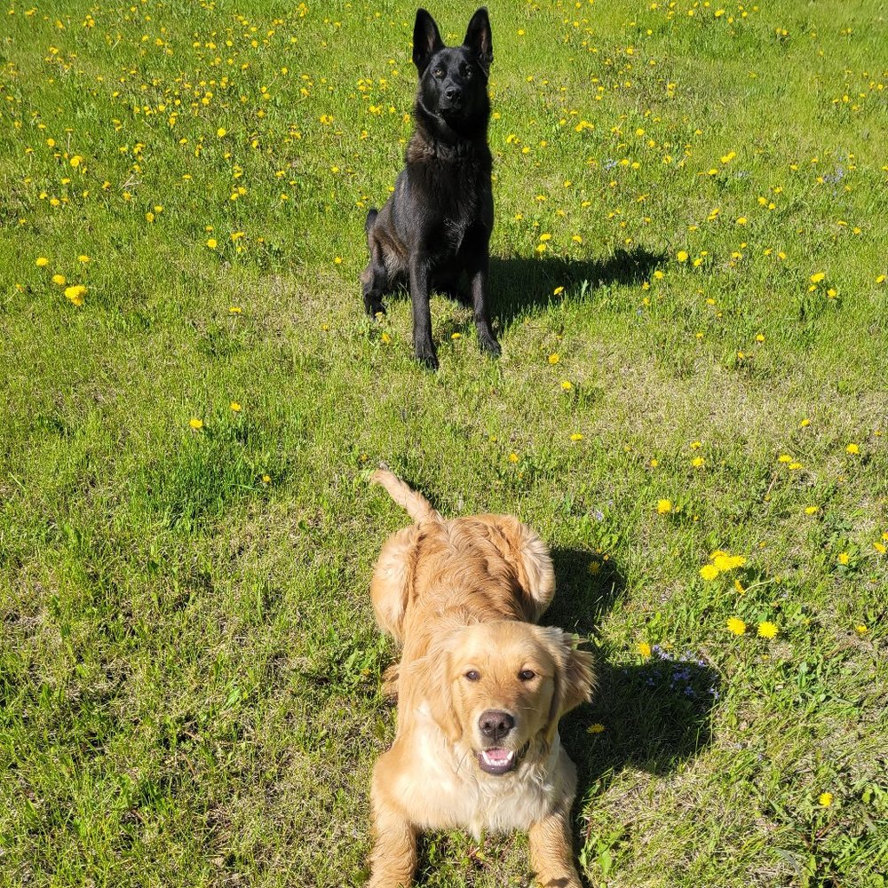 Meet your Posher, Elle